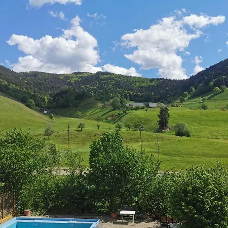Vogelsang Im Schwarzwald * Münstertal