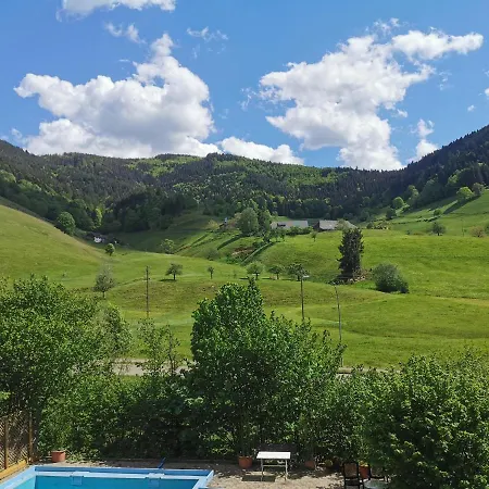Vogelsang Im Schwarzwald * Muenstertal