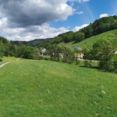 Vogelsang Im Schwarzwald * Muenstertal