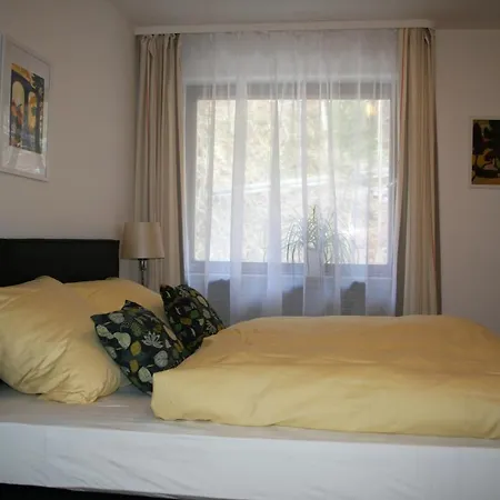 アパート Vogelsang Im Schwarzwald ミュンスタータール