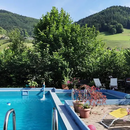 Vogelsang Münstertal
