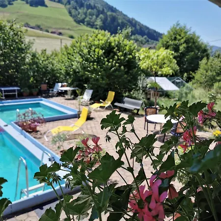 Vogelsang Im Schwarzwald *