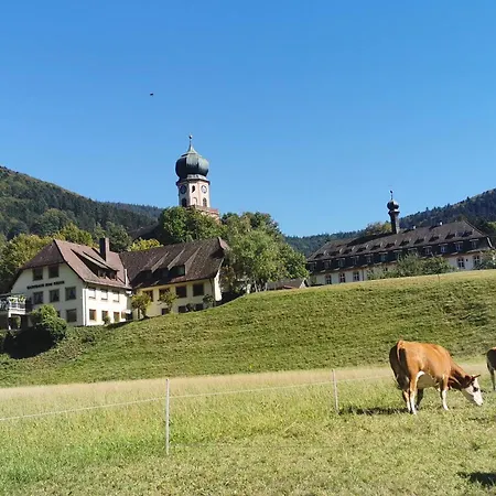 アパート Vogelsang Im Schwarzwald *