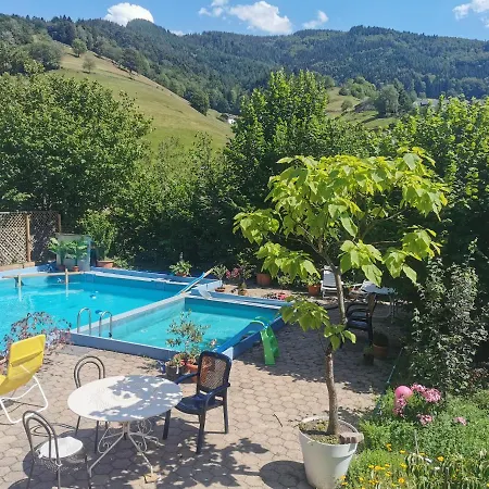 Appartement Vogelsang Im Schwarzwald Münstertal