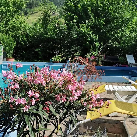 公寓 Vogelsang Im Schwarzwald