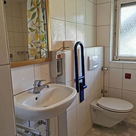 Vogelsang Im Schwarzwald Appartement