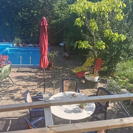 Vogelsang Im Schwarzwald * ミュンスタータール