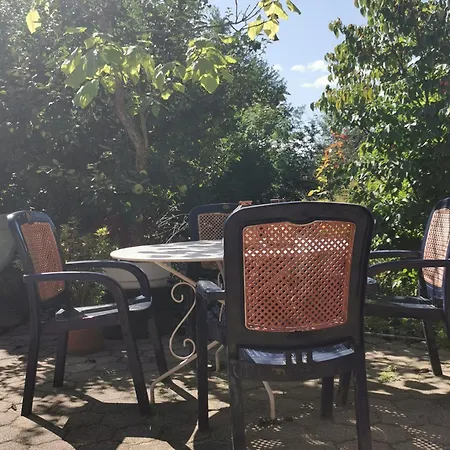 Vogelsang Im Schwarzwald