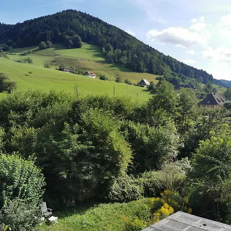 Vogelsang Im Schwarzwald アパート *